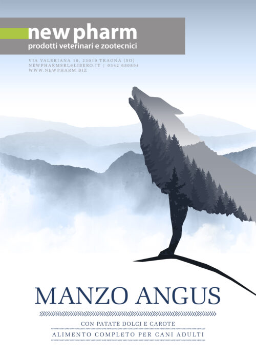 Manzo-Angus-1