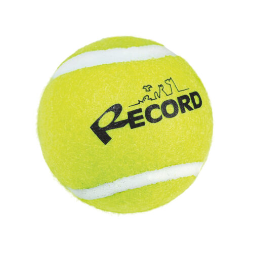RECORD TENNIS FUN PALLINA TENNIS GIALLO 6,4 CM