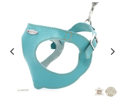 PUPAKIOTTI BASIC Pettorina ergonomica e regolabile in pelle  per cani (Topazio, XL-XXL)