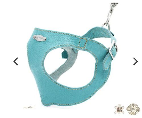 PUPAKIOTTI BASIC Pettorina ergonomica e regolabile in pelle  per cani (Topazio, 3XL-4XL)