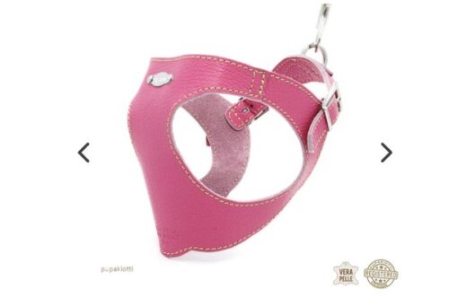 PUPAKIOTTI BASIC Pettorina ergonomica e regolabile in pelle  per cani (Caramella, XS-S)
