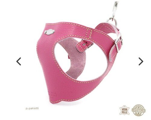 PUPAKIOTTI BASIC Pettorina ergonomica e regolabile in pelle  per cani (Caramella, XS-S)