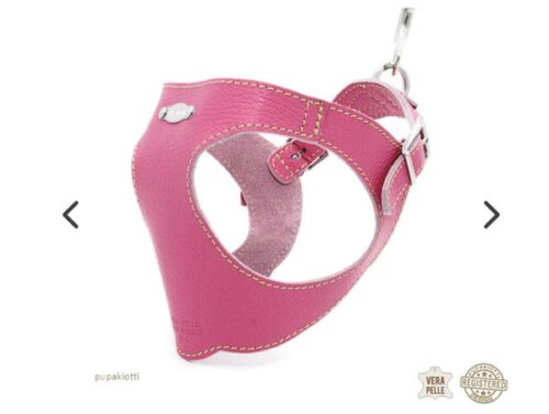 PUPAKIOTTI BASIC Pettorina ergonomica e regolabile in pelle  per cani (Caramella, M-L)