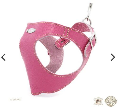 PUPAKIOTTI BASIC Pettorina ergonomica e regolabile in pelle  per cani (Caramella, XL-XXL)