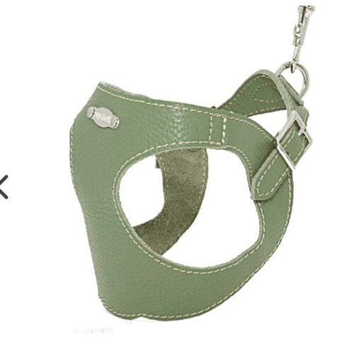PUPAKIOTTI BASIC Pettorina ergonomica e regolabile in pelle per cani (militare xs-s)