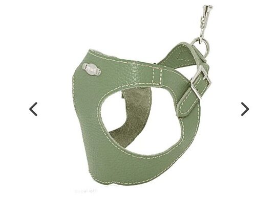 PUPAKIOTTI BASIC Pettorina ergonomica e regolabile in pelle  per cani (Militare, XL-XXL)