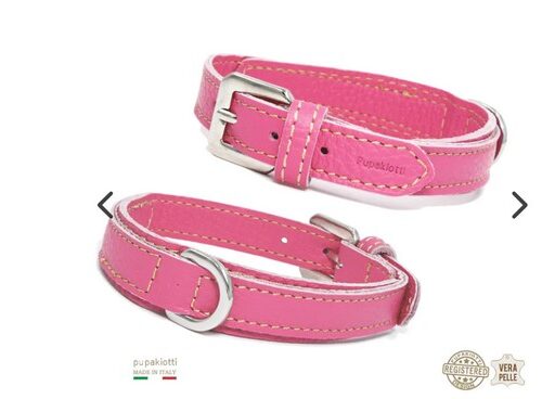 PUPAKIOTTI BASIC Collare in vera pelle per cane (Caramella, S (22-27))