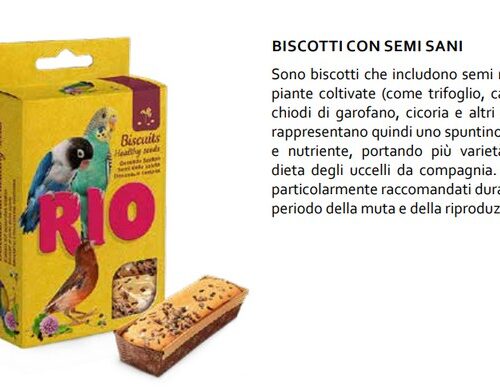 RIO BISCOTTI SEMI DELLA SALUTE5X7G