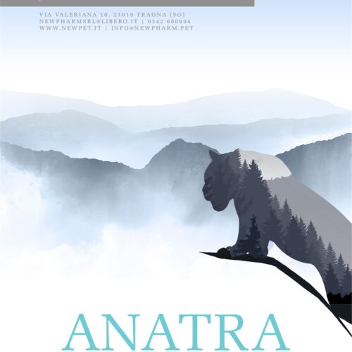 NEW PHARM CAT CONNOISSEUR  STERILISED ADULT Anatra e sardine 300G