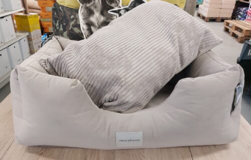 NEW PET TITANO M 90x70x25 cm