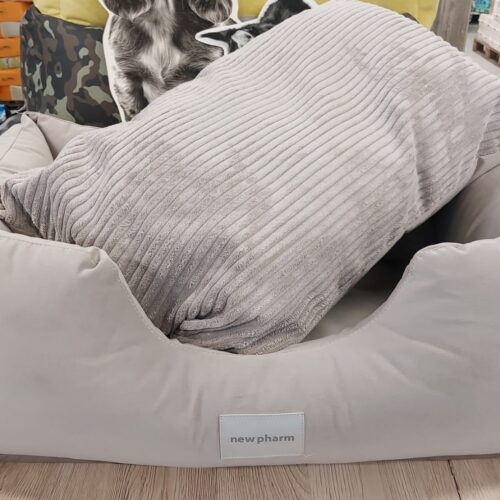 NEW PET TITANO M 90x70x25 cm