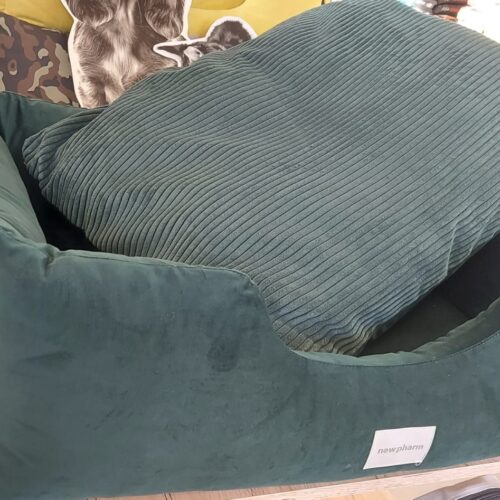 NEW PET TITANO  L 105x85x25 cm