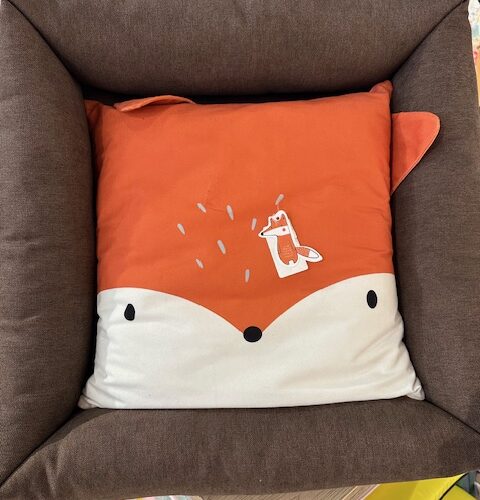 NEW PET CUCCIA  FOX 50x50x22 cm