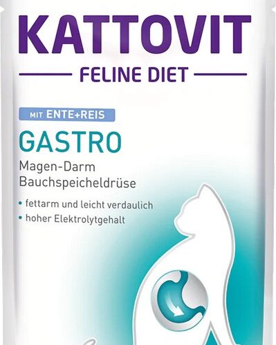 KATTOVIT FELINE DIET BUSTA Gastro salmon + rice 85 g pouch