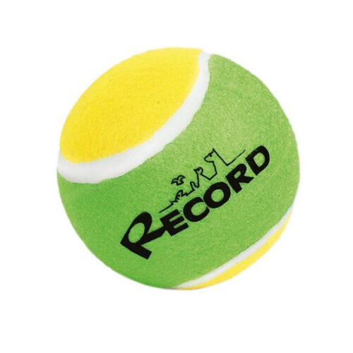RECORD TENNIS FUN 4 PALLE DA TENNIS VIOLA, ROSA, VERDE, BLU M 6,4 CM