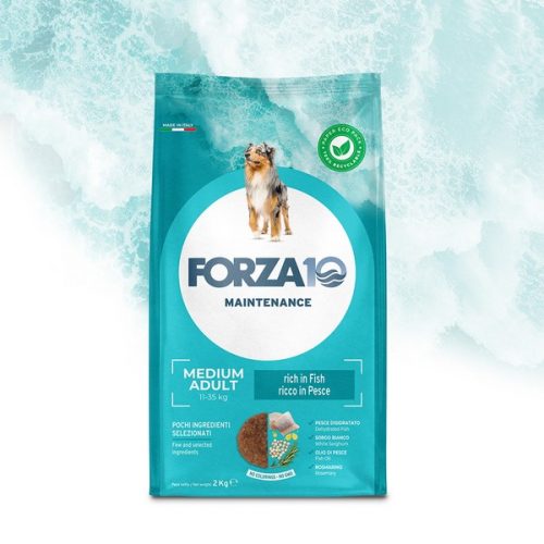 FORZA10 CANE DRY Medium Adult Maintenance Pesce kg 12 NEW