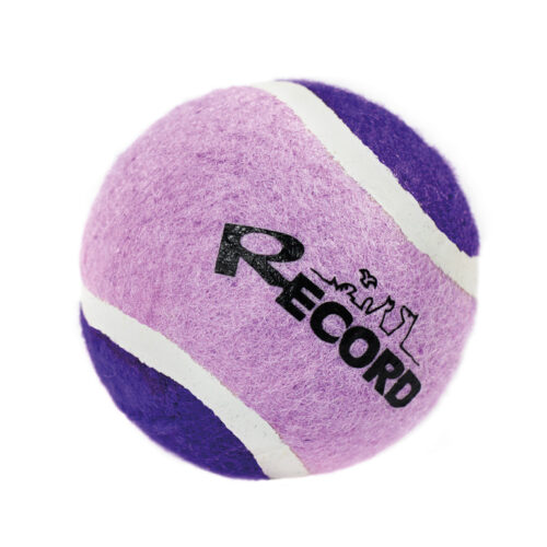 RECORD TENNIS FUN PALLA DA TENNIS VIOLA  LILLA M 6,4 CM