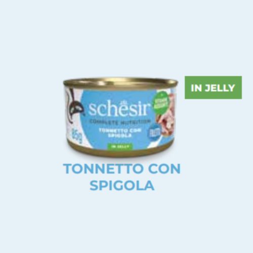 SCHESIR TONNO SPIGOLA 85GR/24